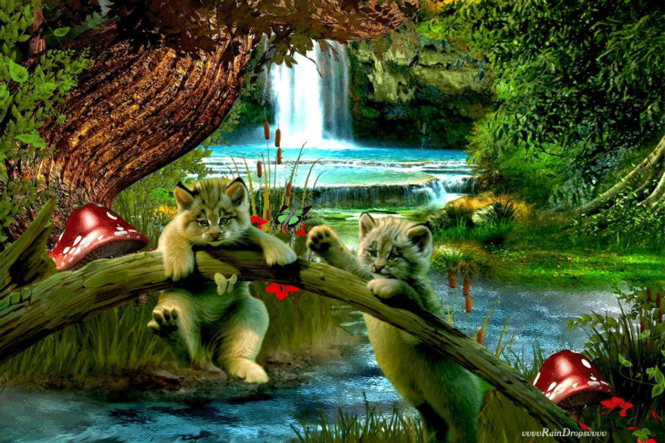 FOTOIMAGENES_sinPALABRAS: ANIMALES, MOVIMIENTO, GIF, NATURALEZA FOTOIMAGENES_sinPALABRAS: ANIMALES, MOVIMIENTO, GIF, NATURALEZA