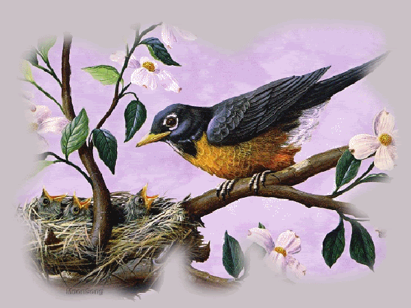 FOTOIMAGENES_sinPALABRAS: AVES EN MOVIMIENTO, GIF FOTOIMAGENES_sinPALABRAS: AVES EN MOVIMIENTO, GIF