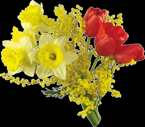 FOTOIMAGENES_sinPALABRAS: FLORES PNG, TUBOS, SIN FONDO FOTOIMAGENES_sinPALABRAS: FLORES PNG, TUBOS, SIN FONDO