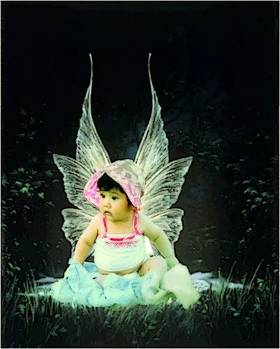 Fotomontajes de bebés con alas - Imagui