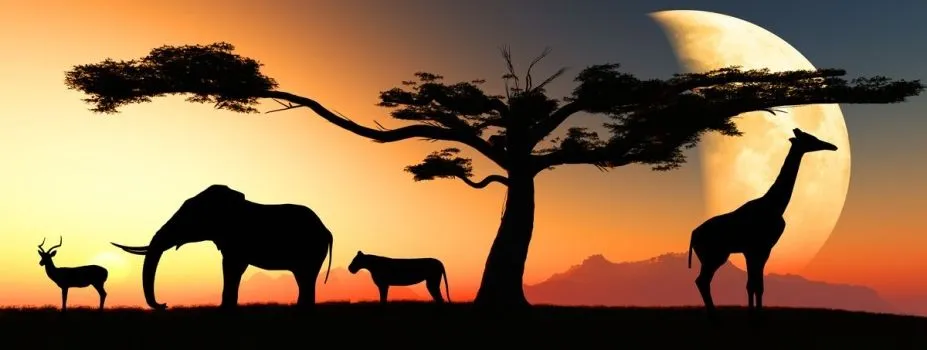 Animales_africa_ ...