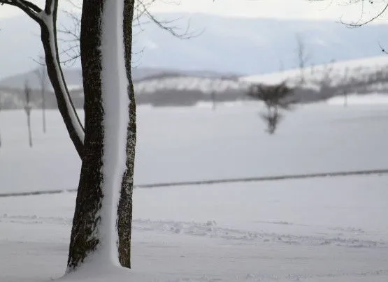 FotoRevista / Edurne Aguirre / Paisajes Blancos