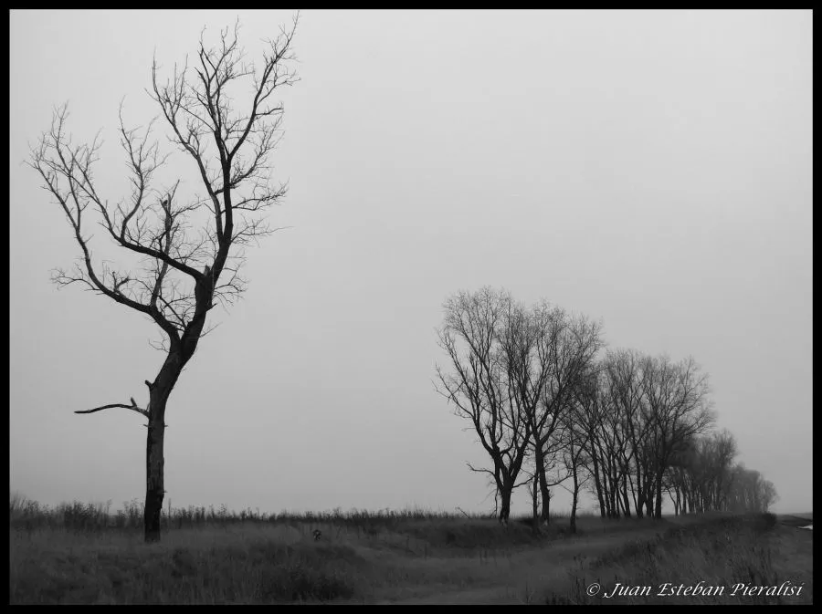 FotoRevista / Sencillamente Fotos / PAISAJE TRISTE de Juan Esteban ...