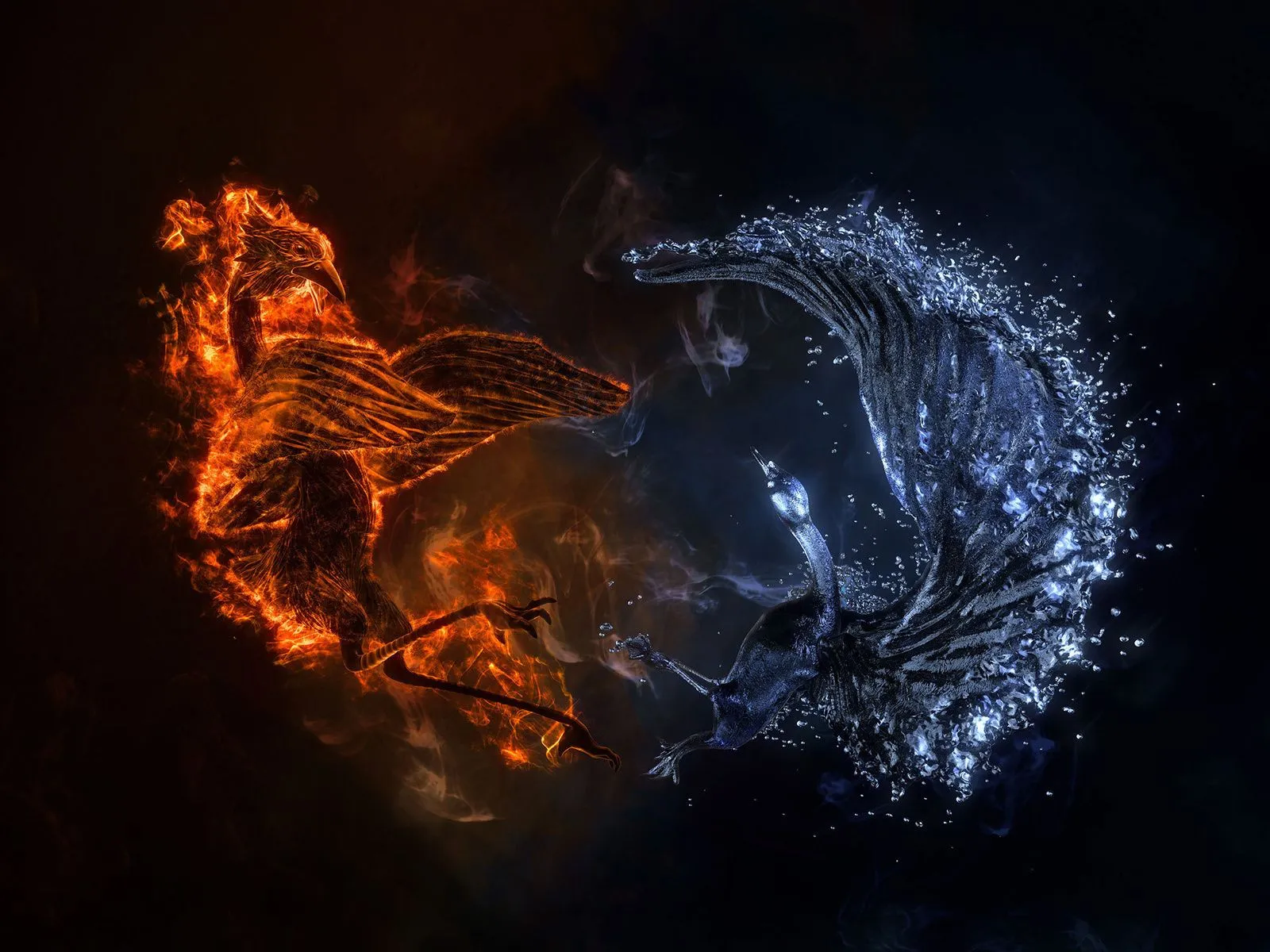 Imagenes de aguilas en fuego - Imagui