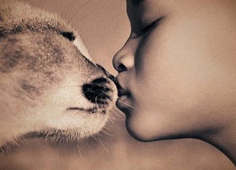 las fotos mas alucinantes: besos tiernos