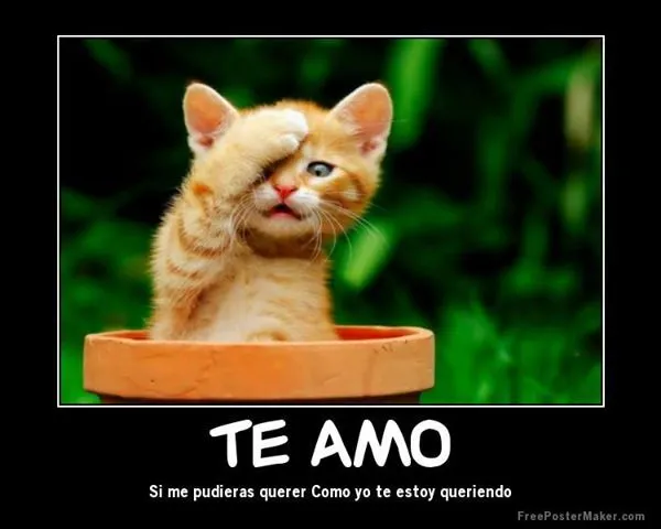 Ver fotos de Amor - Imagenes de amor: Ver fotos de amor reconciliación