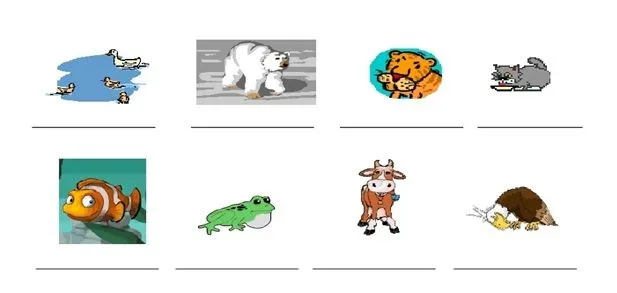 Exploracion de la naturaleza 2°: Animales vivíparos y ovíparos Exploracion de la naturaleza 2°: Animales vivíparos y ovíparos