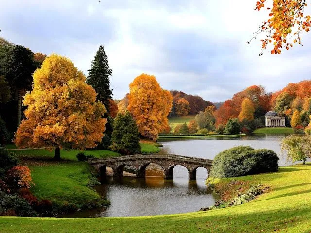 fotos de para arboles amarillos lago puente facebook.