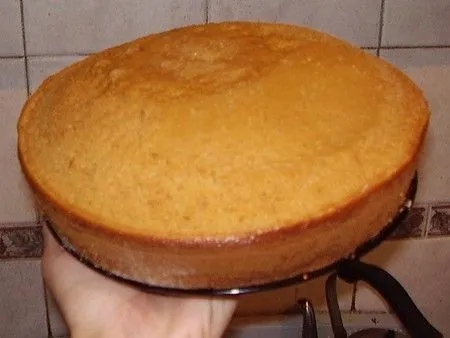 Fotos] Bizcochuelo ala ESSEN (Sin horno) - Taringa!