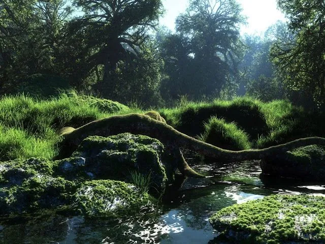 Fotos bonitas de un bosque con rio para facebook ~ Mejores Fotos ... Fotos bonitas de un bosque con rio para facebook ~ Mejores Fotos ...