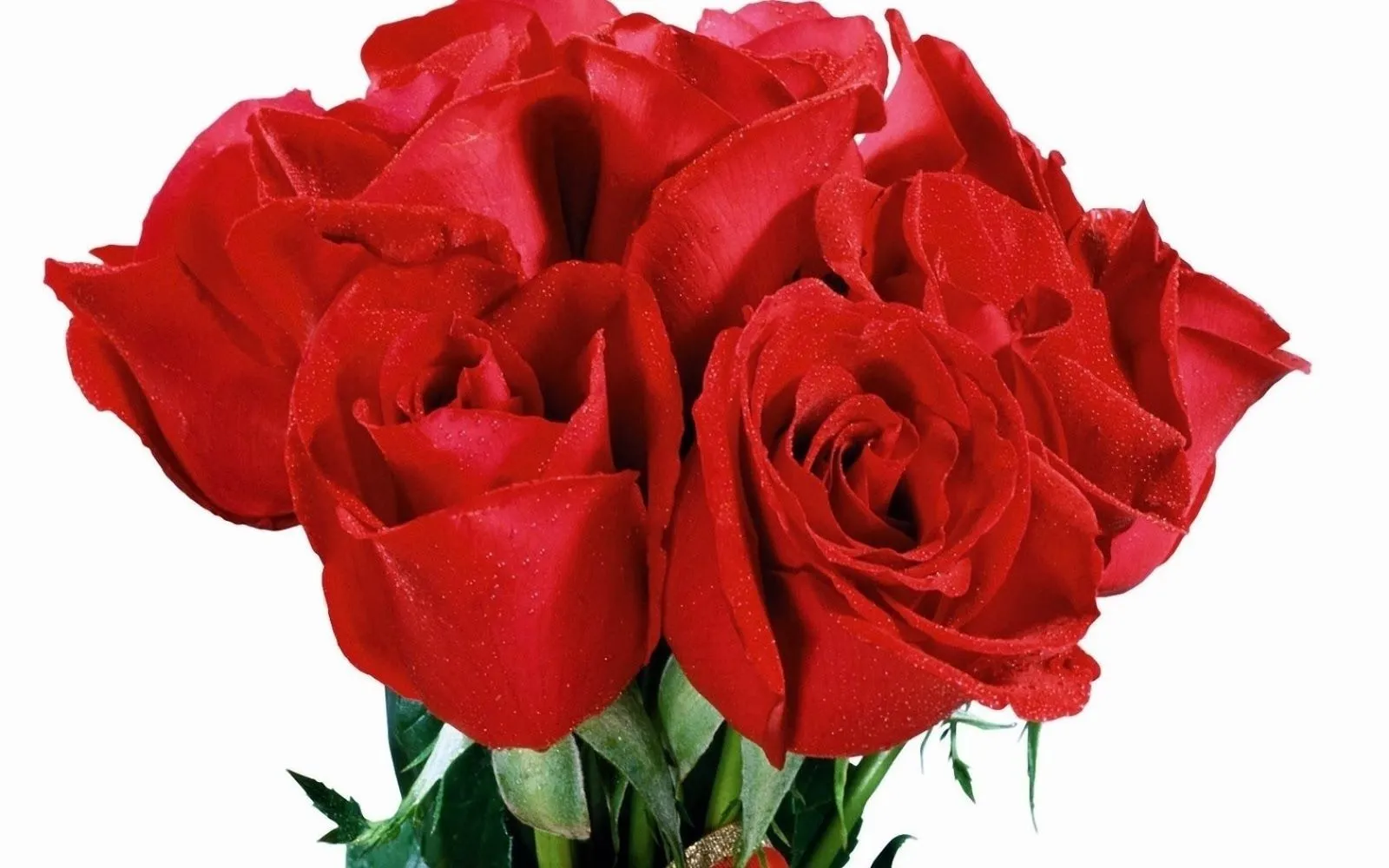 Fotos bonitas de ramo de rosas | Fotos Bonitas de Amor | Imágenes ... Fotos bonitas de ramo de rosas | Fotos Bonitas de Amor | Imágenes ...