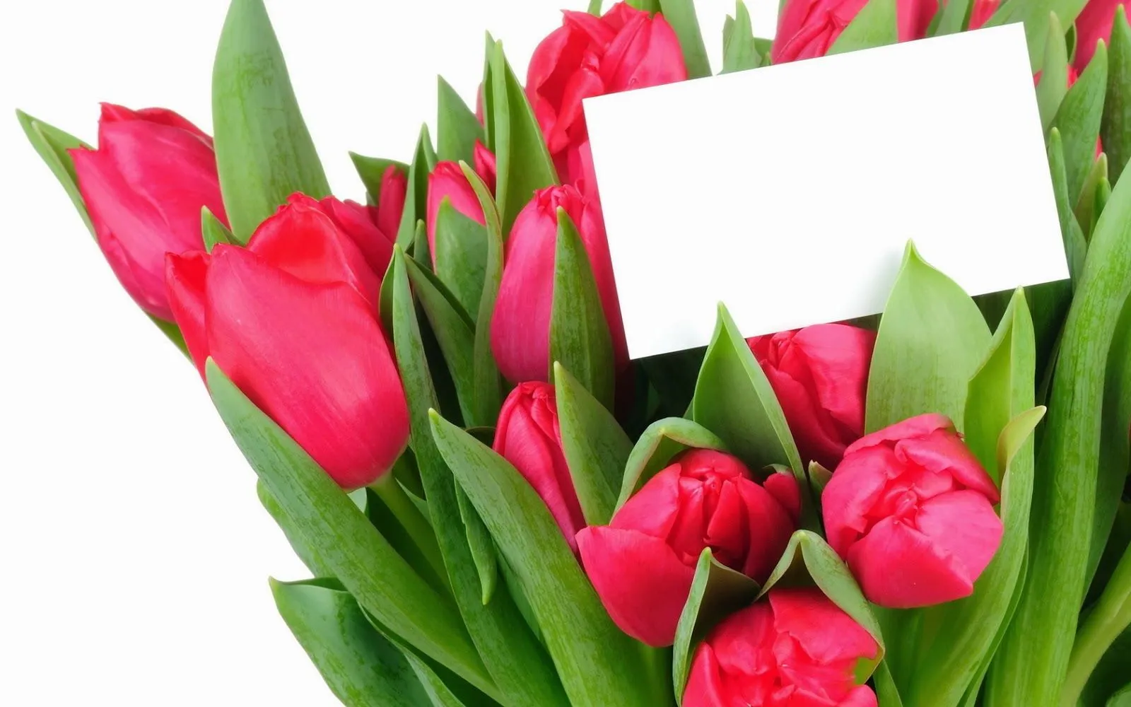 Fotos bonitas de ramo de rosas | Fotos Bonitas de Amor | Imágenes ... Fotos bonitas de ramo de rosas | Fotos Bonitas de Amor | Imágenes ...