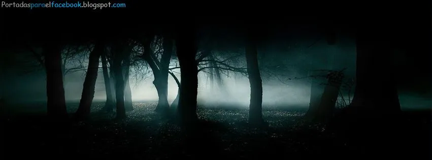 Fotos de bosques tenebrosos - Imagui