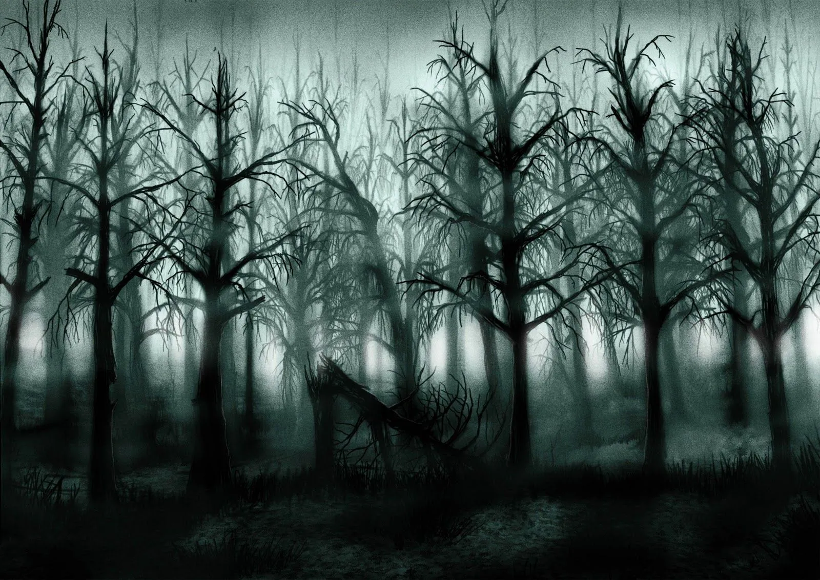 Fotos de bosques tenebrosos - Imagui