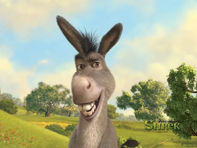 Fotos del burro de sherk - Imagui