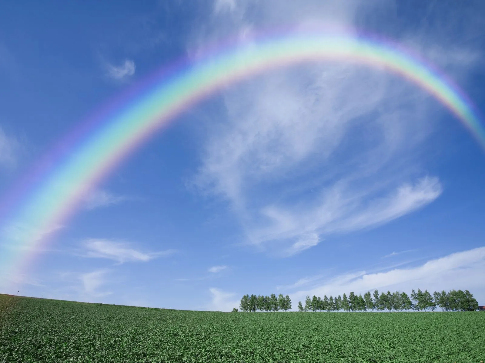 Fotos de campo arco iris para facebook ~ Mejores Fotos del Mundo ... Fotos de campo arco iris para facebook ~ Mejores Fotos del Mundo ...