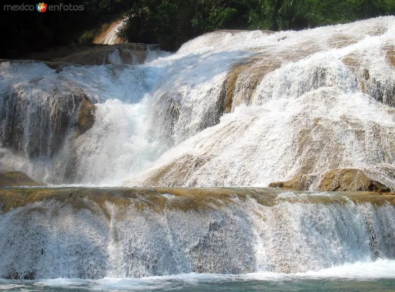 Fotos de Cascadas de Agua Azul, Chiapas, México: Cascadas de Agua ... Fotos de Cascadas de Agua Azul, Chiapas, México: Cascadas de Agua ...