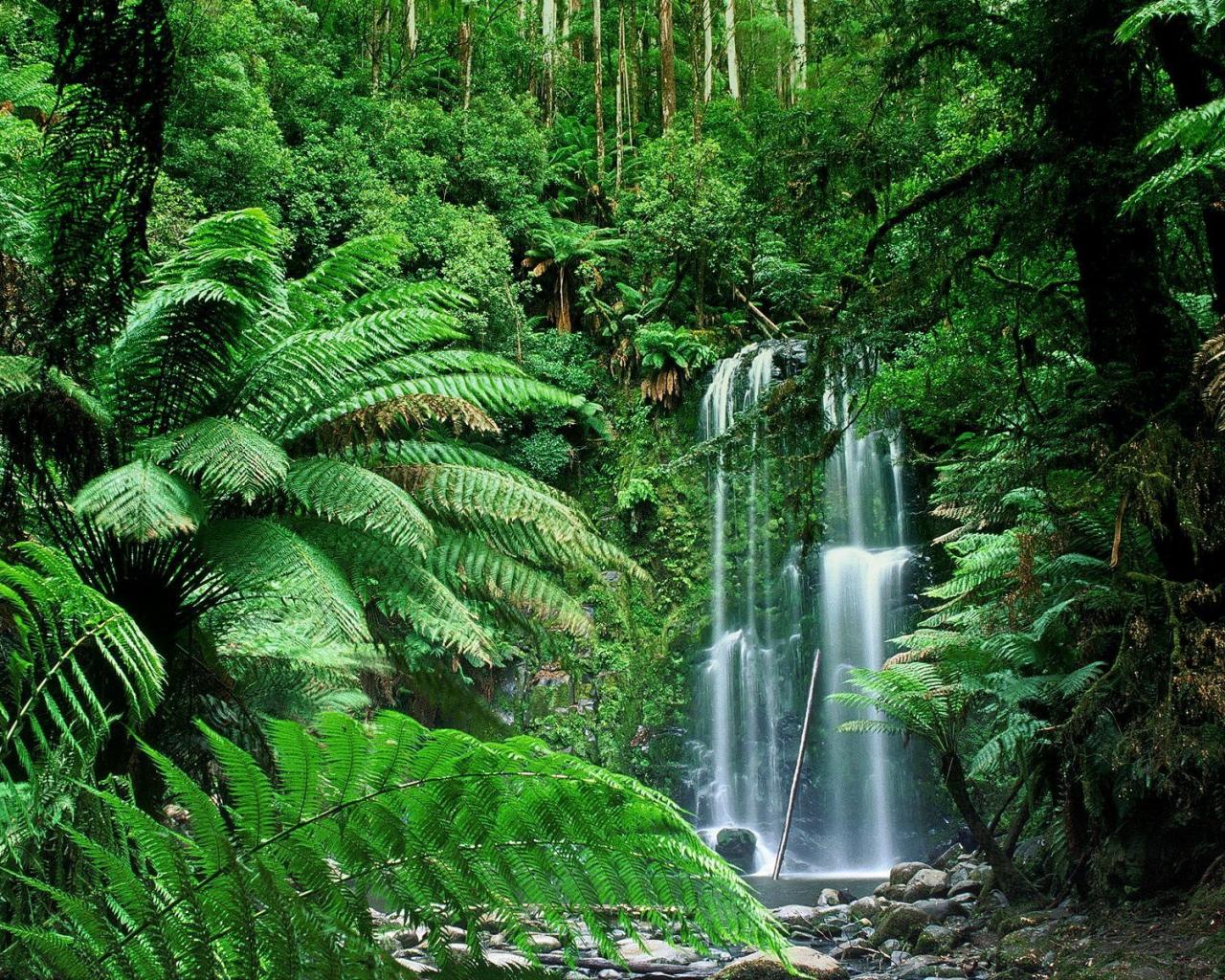 FOTOFRONTERA: 10 imágenes fantásticas que tus ojos tienen que ver...