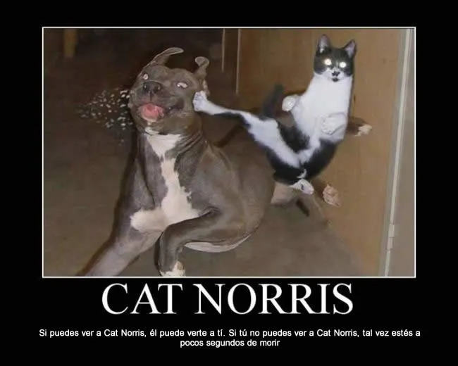 Fotos chistosas para Facebook - Facebook Gratis Fotos chistosas para Facebook - Facebook Gratis