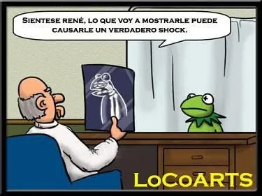 Imagenes chistosas 106 - Rana rene | MundoChistoso.Com | chistes ... Imagenes chistosas 106 - Rana rene | MundoChistoso.Com | chistes ...