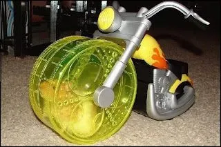 Las Fotos Chistosas: Hamster Divertido Dentro de Triciclo Las Fotos Chistosas: Hamster Divertido Dentro de Triciclo