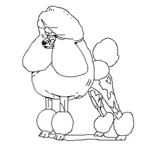 Perritos para dibujar facil caniche - Imagui
