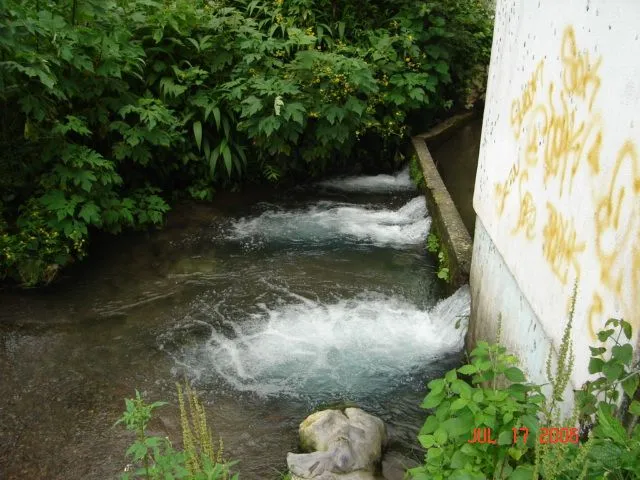 Fotos de conejo - el nacimiento de agua