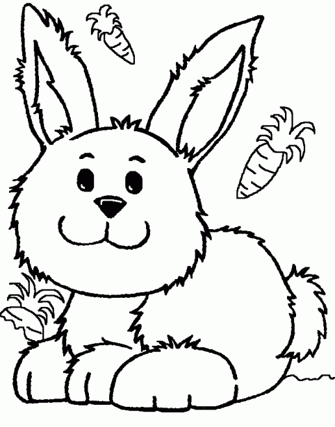 Dibujos para colorear e imprimir de conejo - Imagui
