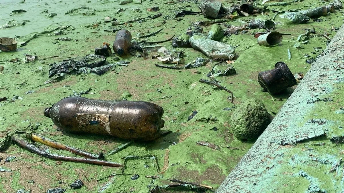 En Fotos: Contaminación en el Lago de Maracaibo