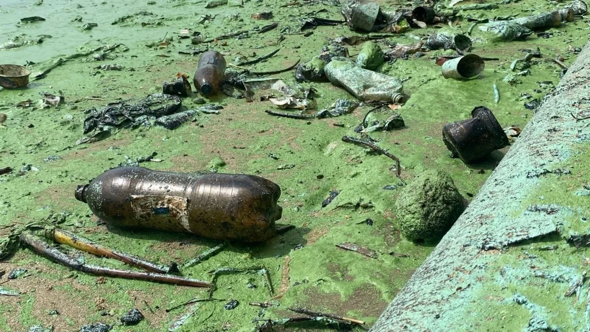 En Fotos: Contaminación en el Lago de Maracaibo En Fotos: Contaminación en el Lago de Maracaibo