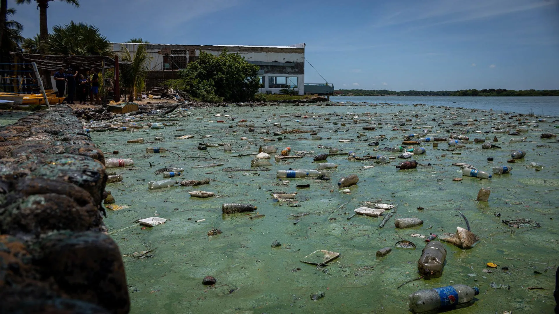 En fotos: así la contaminación pintó de verde el principal lago de  Venezuela - Infobae