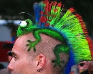 FOTOS DE CORTE DE CABELLO LAGARTO IGUANA PELO EN LA CABEZA | LO ... FOTOS DE CORTE DE CABELLO LAGARTO IGUANA PELO EN LA CABEZA | LO ...