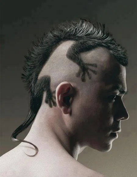 FOTOS DE CORTE DE CABELLO LAGARTO IGUANA PELO EN LA CABEZA | LO ... FOTOS DE CORTE DE CABELLO LAGARTO IGUANA PELO EN LA CABEZA | LO ...