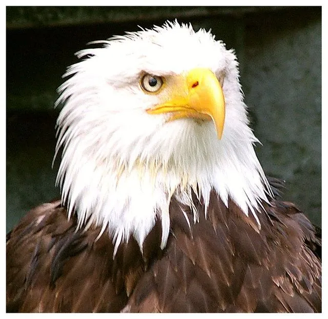 Fotos Cristianas | el mensaje del fin