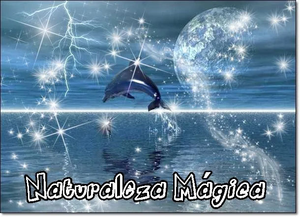 Imagenes de delfines con frases bonitas - Imagui Imagenes de delfines con frases bonitas - Imagui