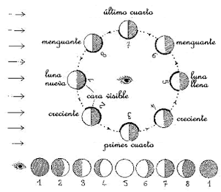 FOTOS DIBUJOS CULTURA GEOGRAFIA: DIBUJOS: FASES DE LA LUNA O FASE ... FOTOS DIBUJOS CULTURA GEOGRAFIA: DIBUJOS: FASES DE LA LUNA O FASE ...