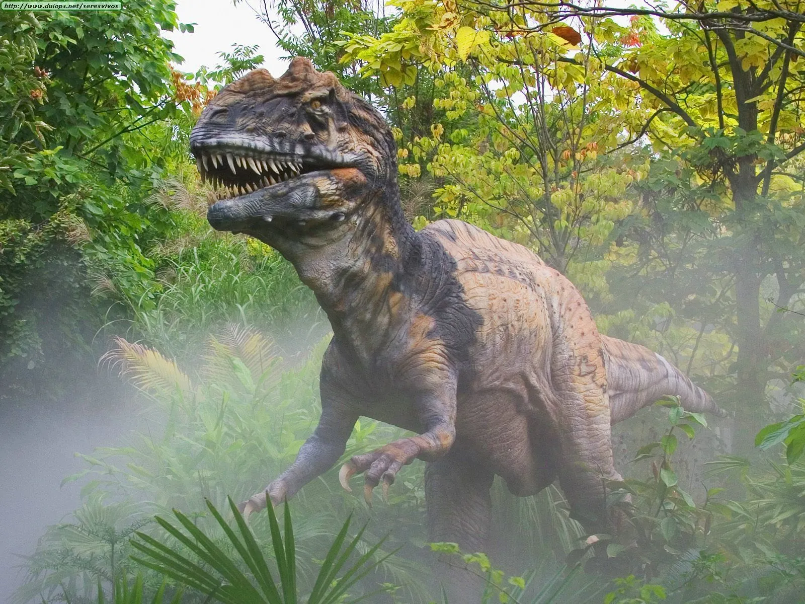 Fotos de dinosaurios