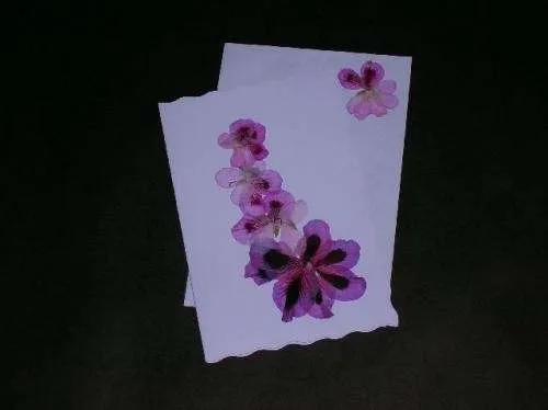 Fotos de Exclusivo saludo, tarjetas hechas a mano con flores ... Fotos de Exclusivo saludo, tarjetas hechas a mano con flores ...