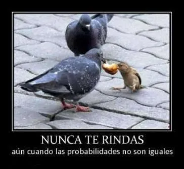 Fotos para facebook: Imágenes para facebook chistosas. Fotos para facebook: Imágenes para facebook chistosas.