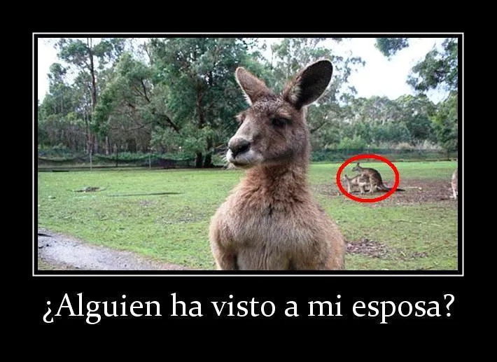 Fotos para facebook: Imagenes para el facebook divertidas.
