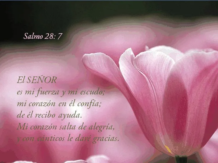 Pin by Victoria Gere on Textos biblicos | Pinterest Pin by Victoria Gere on Textos biblicos | Pinterest