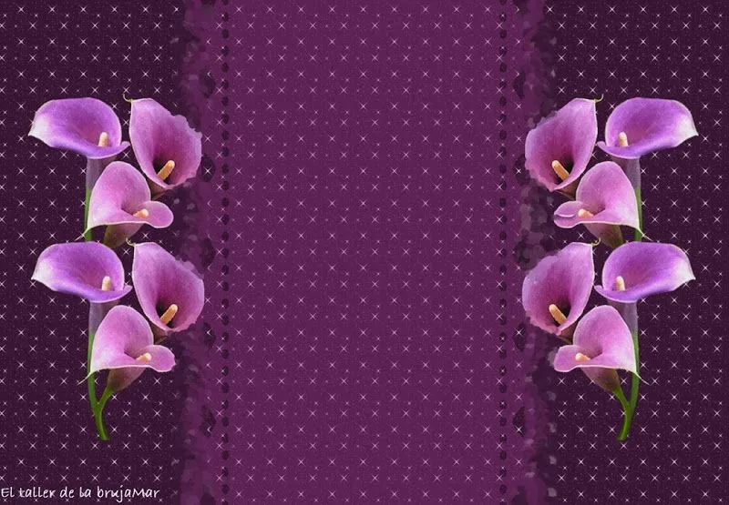 Fondos morado con rosa - Imagui