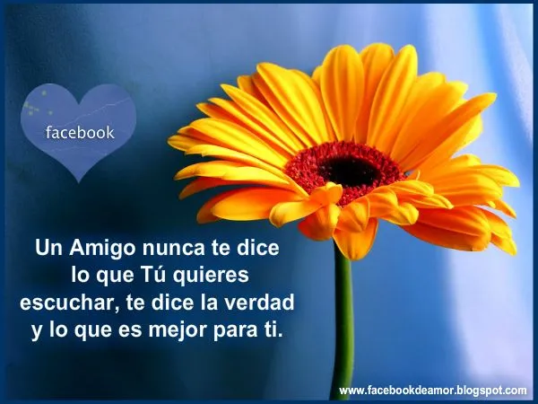 Fotos con frases de amistad para compartir en Facebook - Mil Recursos Fotos con frases de amistad para compartir en Facebook - Mil Recursos