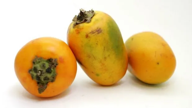 FOTOS: ocho frutas amazónicas y sus increíbles beneficios para la ... FOTOS: ocho frutas amazónicas y sus increíbles beneficios para la ...
