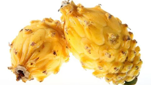 FOTOS: ocho frutas amazónicas y sus increíbles beneficios para la ... FOTOS: ocho frutas amazónicas y sus increíbles beneficios para la ...