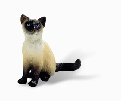Fotos de Gatos Siameses | Cultura Mix