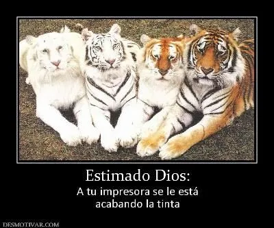 Fotos graciosas de animales con frase | Memes | Pinterest ...