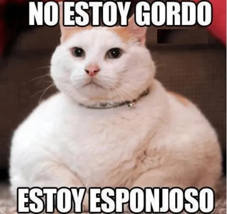 Fotos graciosas de animales con frases chistosas para compartir ...
