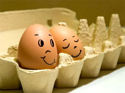 fotos graciosas de huevos - Taringa!