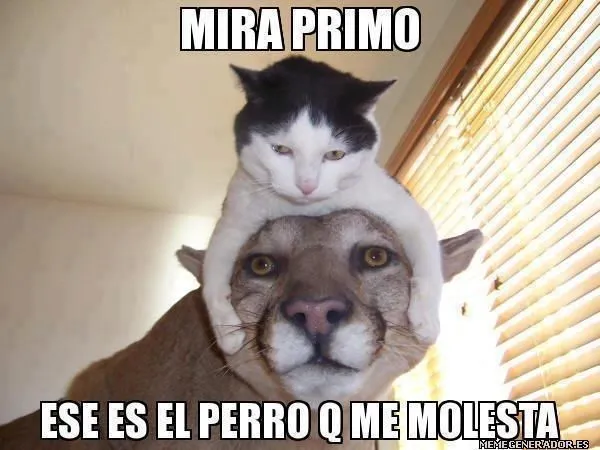 fotos graciosas , imagenes divertidas para facebook | Humor ...